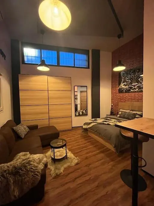Industrial Loft Estudio Apartment Estepona Spain