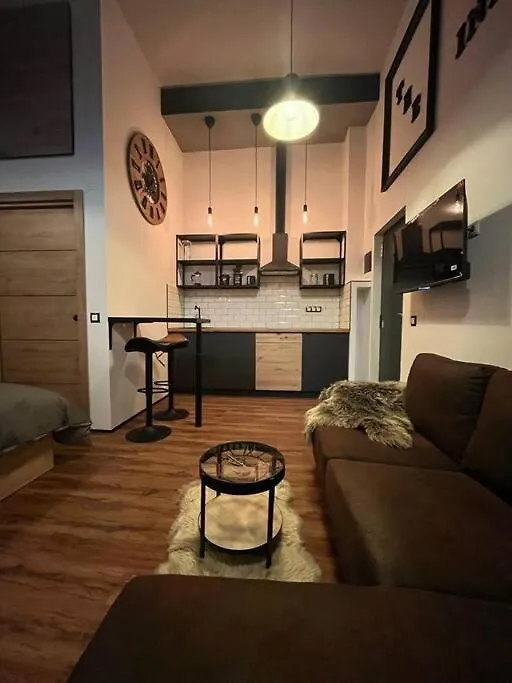 Industrial Loft Estudio Apartment Estepona